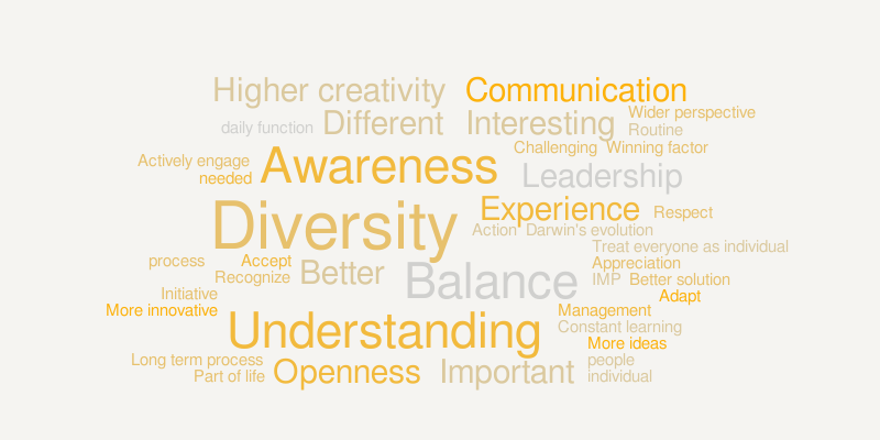 Diversity Management – Word cloud – WordItOut