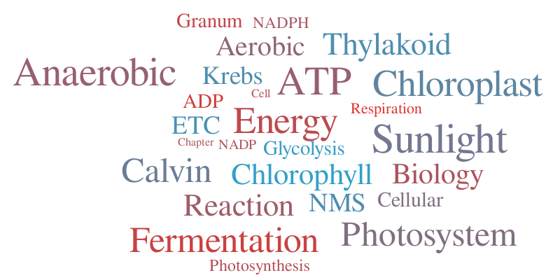 Biology Chapter 4 – Word cloud – WordItOut