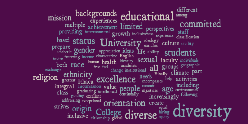 Diversity Statements – Word cloud – WordItOut