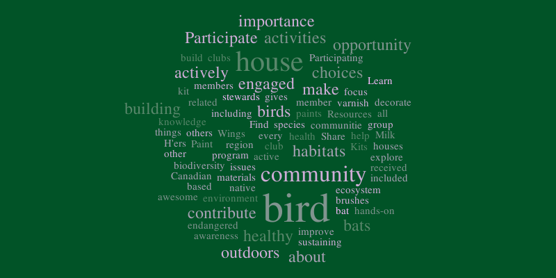 BIRD WORDLE – Word cloud – WordItOut