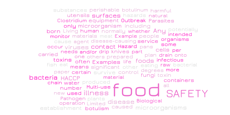 FOOD SAFETY – Word cloud – WordItOut