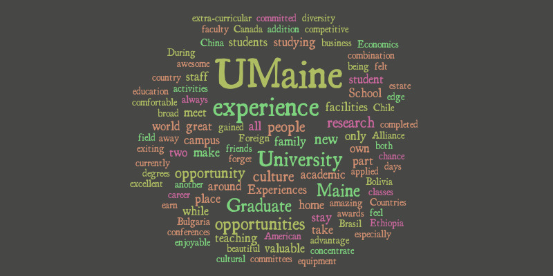 Graduate Intrentional Students – Word cloud – WordItOut