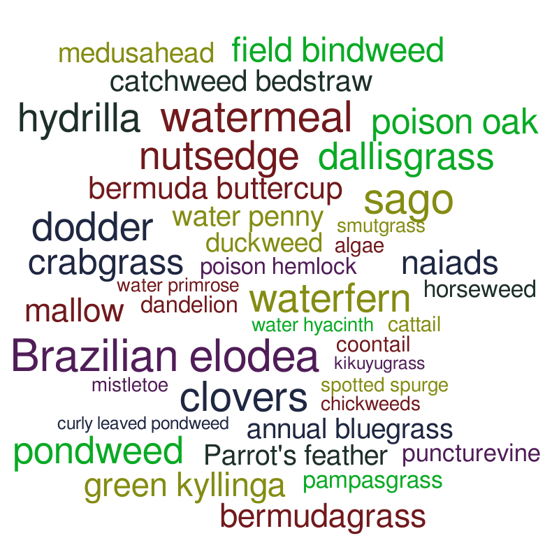 design_3 – Word cloud – WordItOut