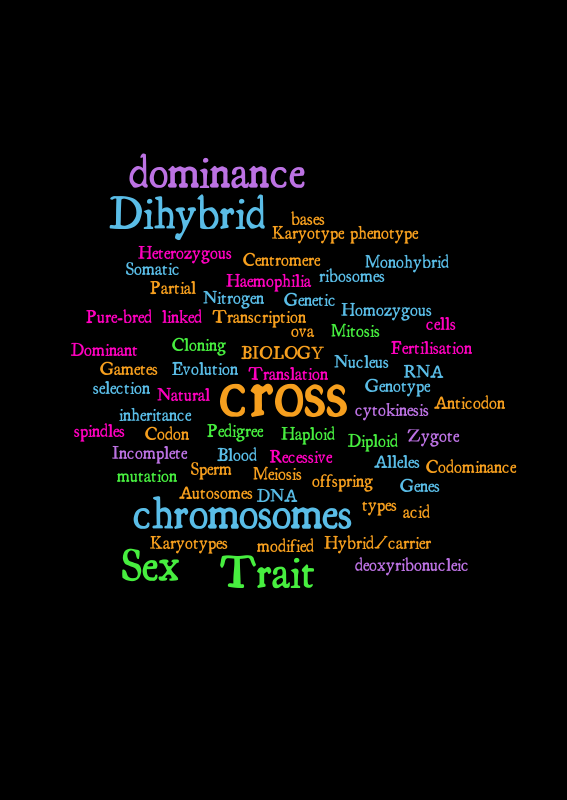 2nd-title-page-word-cloud-worditout