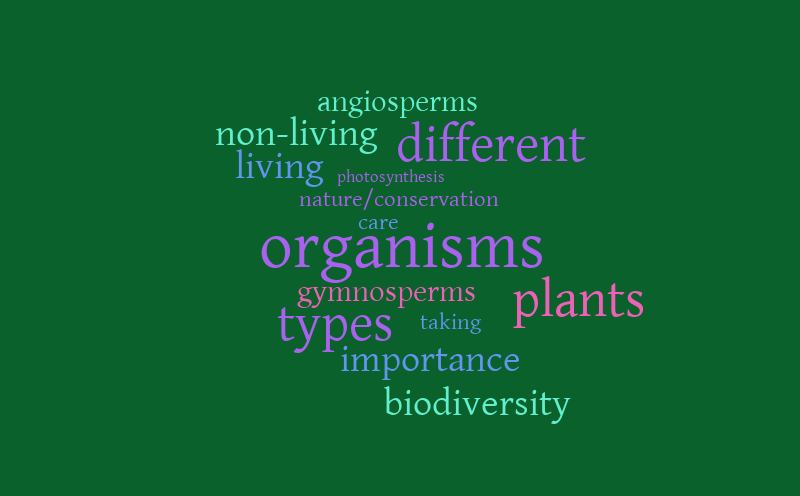 question 8 – Word cloud – WordItOut