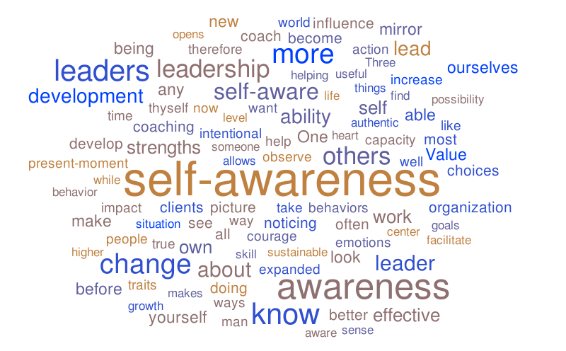 self-awareness-attitude-trinity-skillworks-pvt-ltd