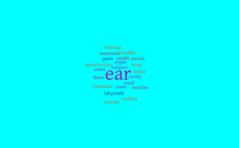 The Ear – Word cloud – WordItOut