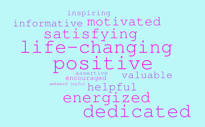 first-internship-experience-with-ses-word-cloud-worditout