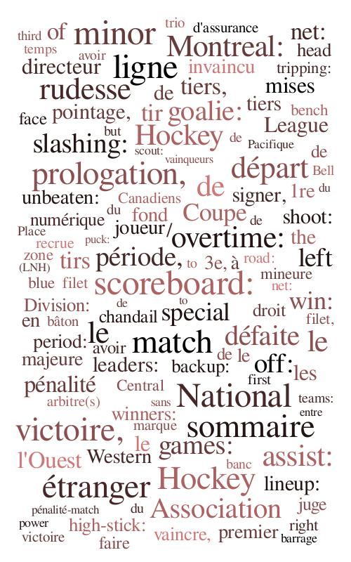 French Hockey Terms 101 Word cloud WordItOut