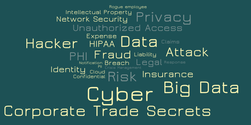 Cyber Liability 5 – Word cloud – WordItOut