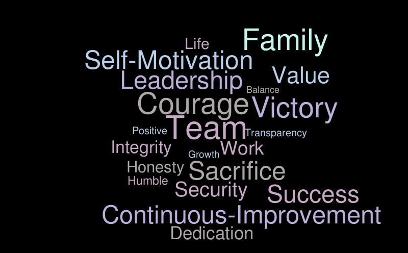 bae-mission-statement-word-cloud-worditout