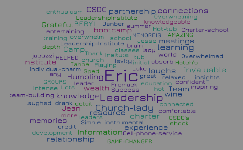 Eric Leadership Institute 3 – Word cloud – WordItOut