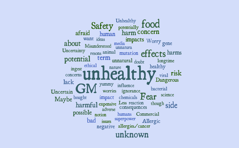 untitled-word-cloud-worditout