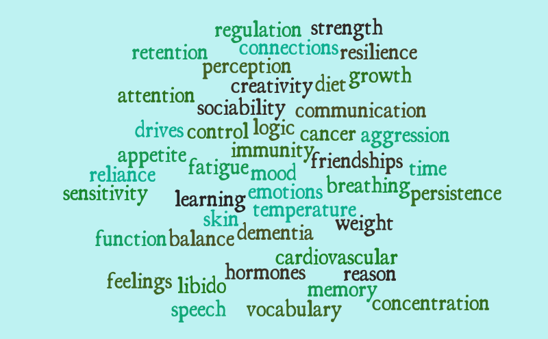Sleep - some areas of research – Word cloud – WordItOut