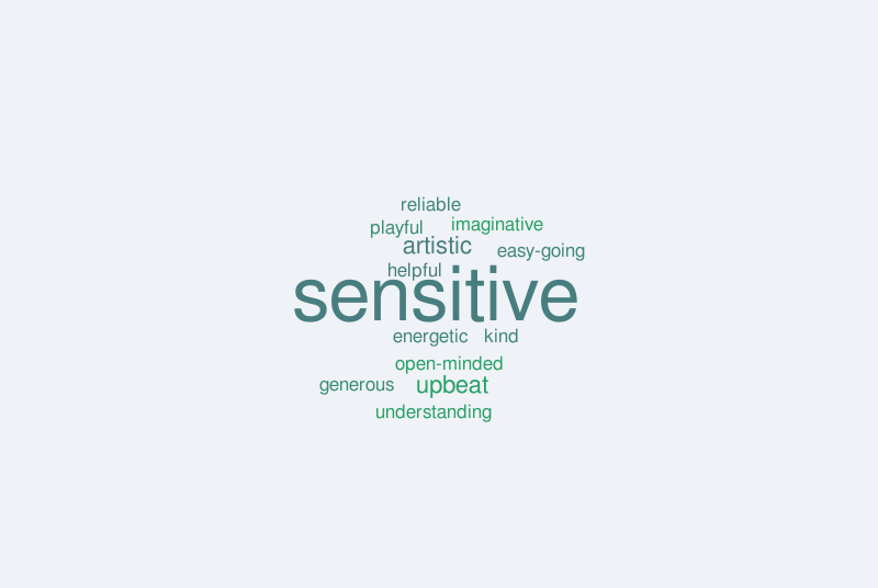 Josh Chapman – Word cloud – WordItOut