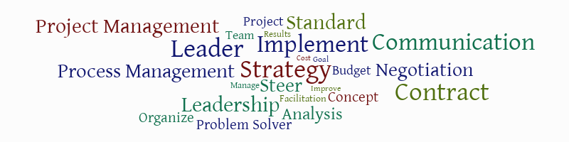 Process Project Communication – Word cloud – WordItOut