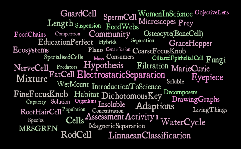 Miss Robins – Word cloud – WordItOut