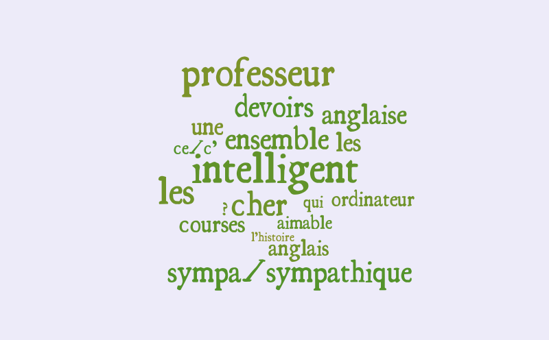 french word cloud. – Word cloud – WordItOut