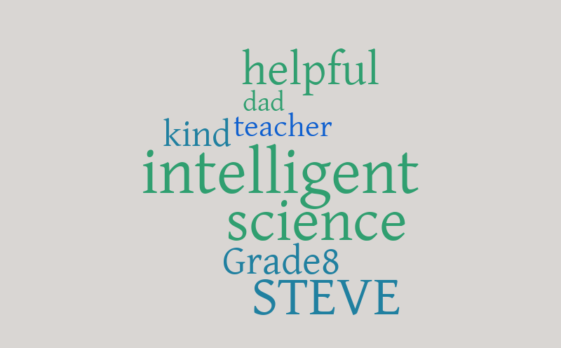 steve – Word cloud – WordItOut