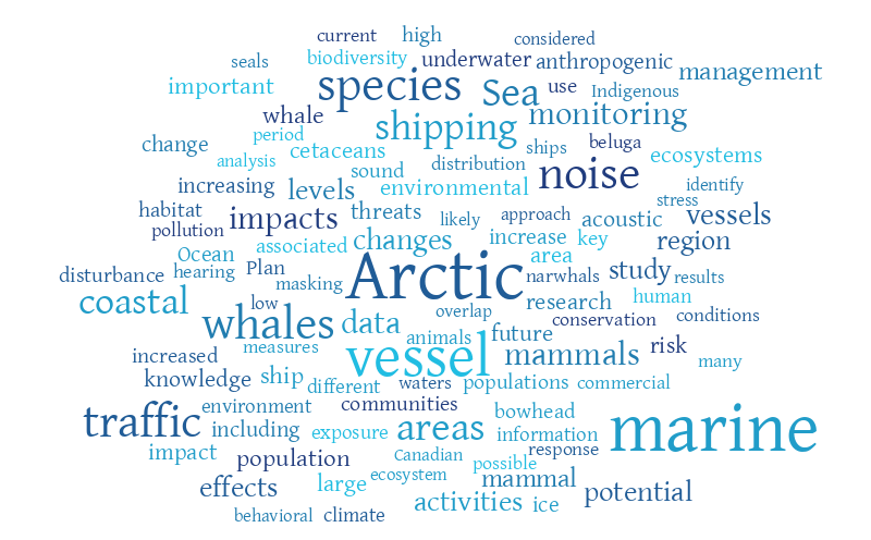 Untitled – Word cloud – WordItOut