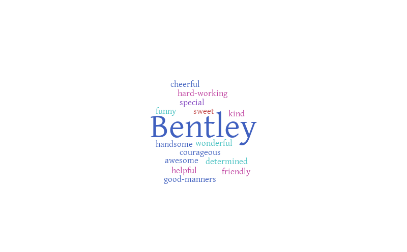 11bentley – Word cloud – WordItOut