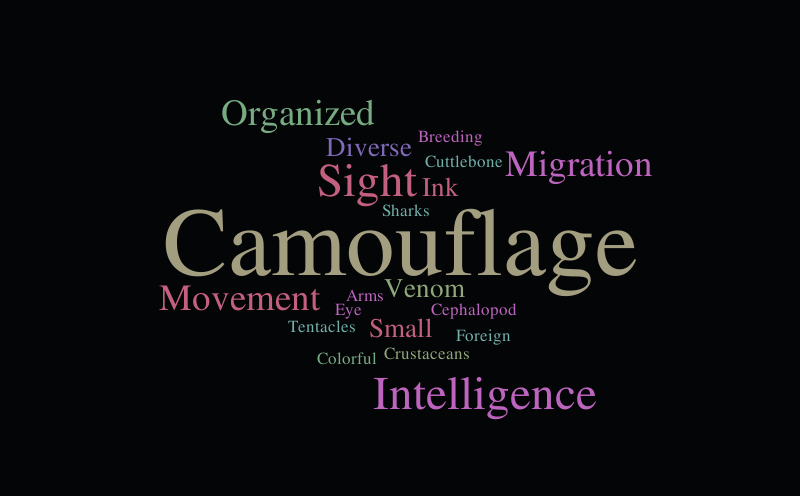 Marine Invertebrate – Word cloud – WordItOut