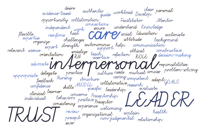 Nursing Preceptor – Word cloud – WordItOut