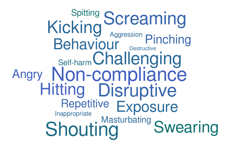 Challenging Behaviour – Word cloud – WordItOut