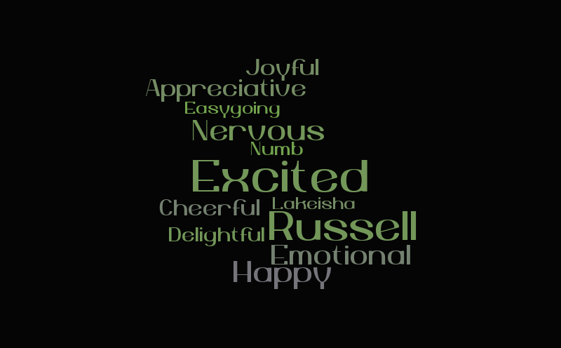 Lakeisha Feelings – Word cloud – WordItOut