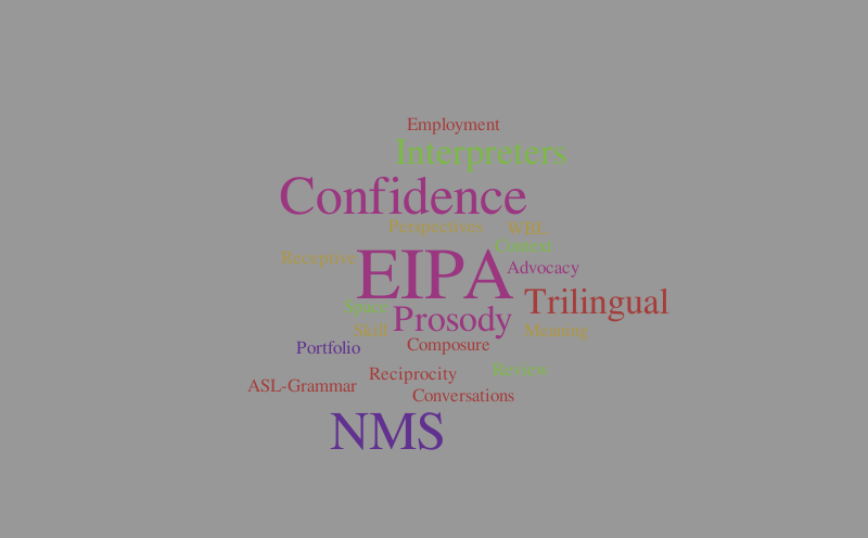 Sp 2022 IPP 222 – Word cloud – WordItOut