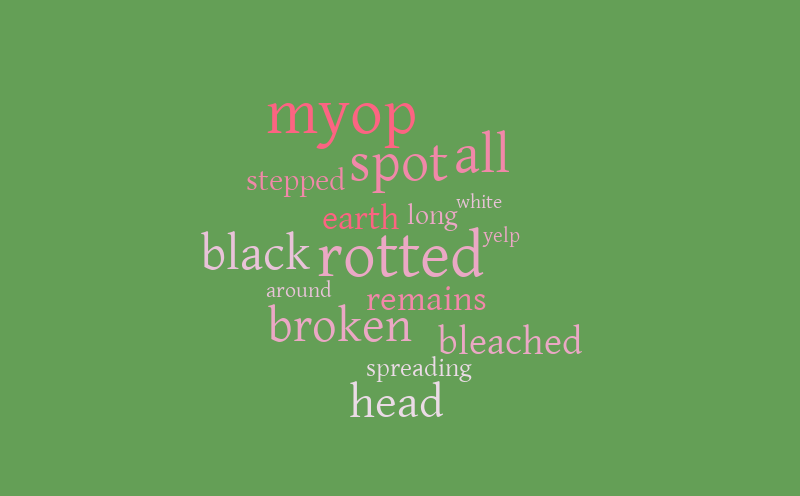 myop – Word cloud – WordItOut