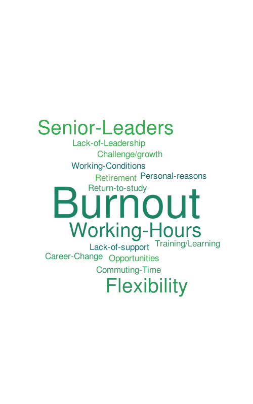 DVM Exit – Word Cloud – WordItOut