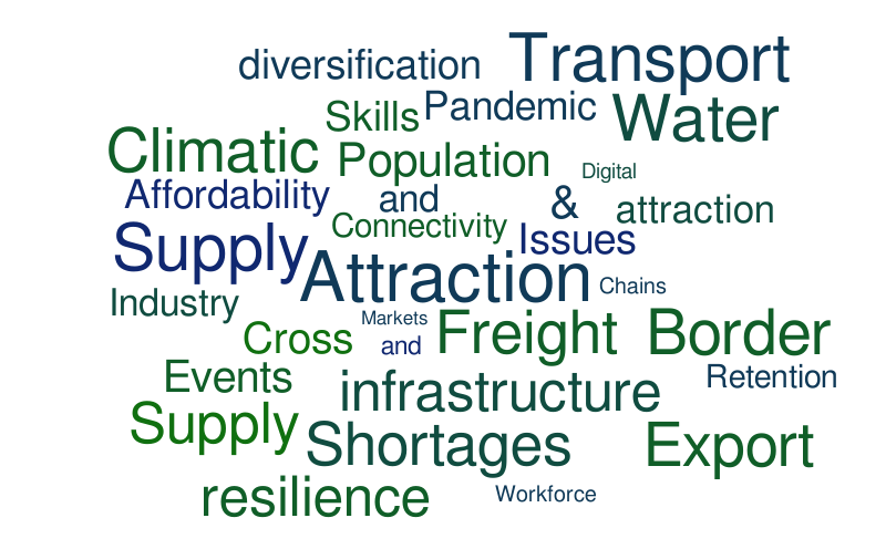 RDA – Word cloud – WordItOut