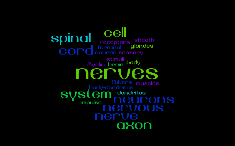 neurons – Word cloud – WordItOut