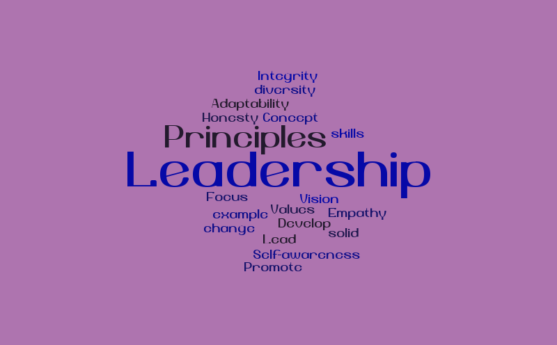 leadership-principle-and-concept-word-cloud-worditout