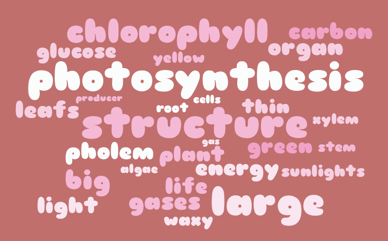 Untitled – Word cloud – WordItOut