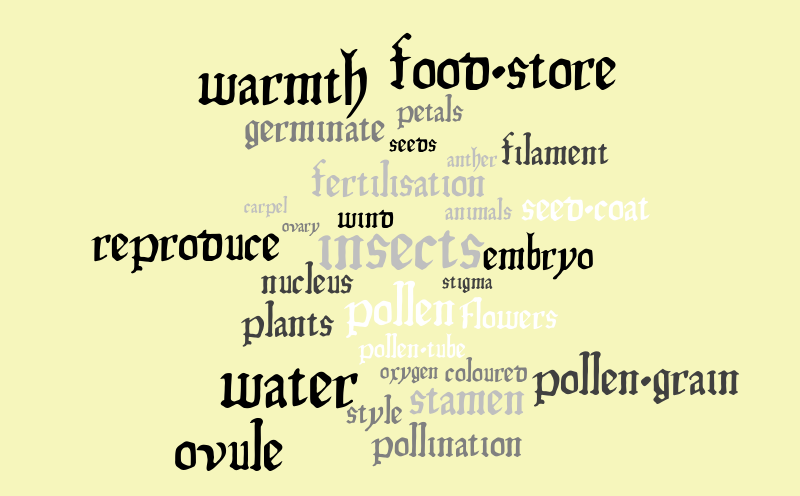 Plants – Word cloud – WordItOut