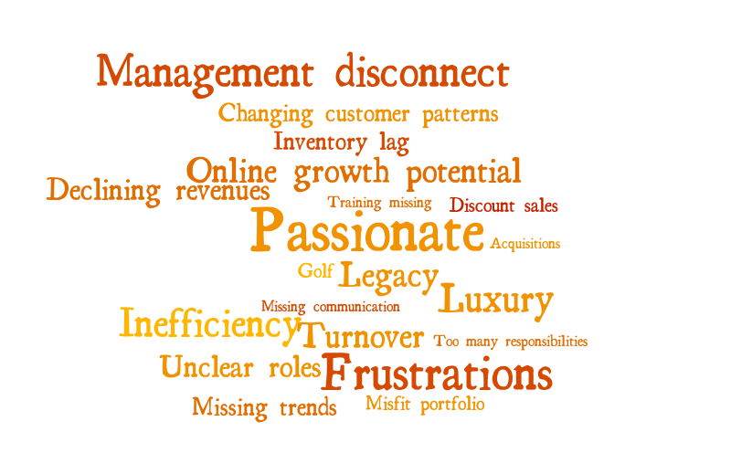 PwC V&S word cloud – Word cloud – WordItOut
