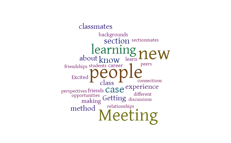 Section E Excited 2 – Word cloud – WordItOut