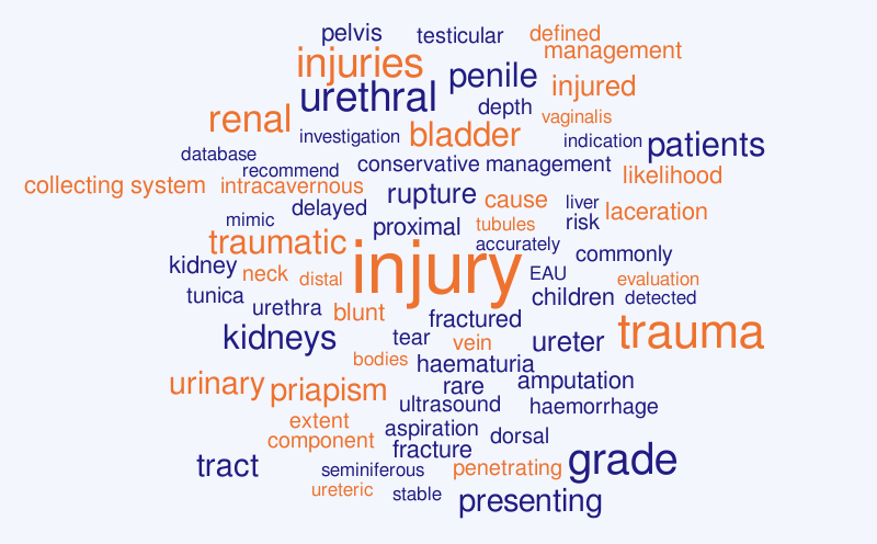 Urological trauma – Word cloud – WordItOut