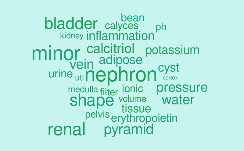 kidney – Word cloud – WordItOut
