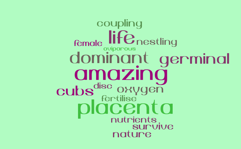 the-nature-of-life-word-cloud-worditout