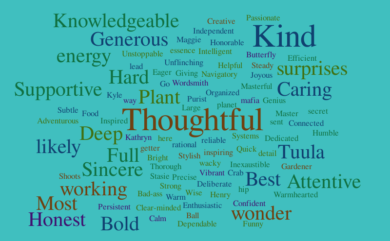 TUI Staff Descriptors – Word cloud – WordItOut