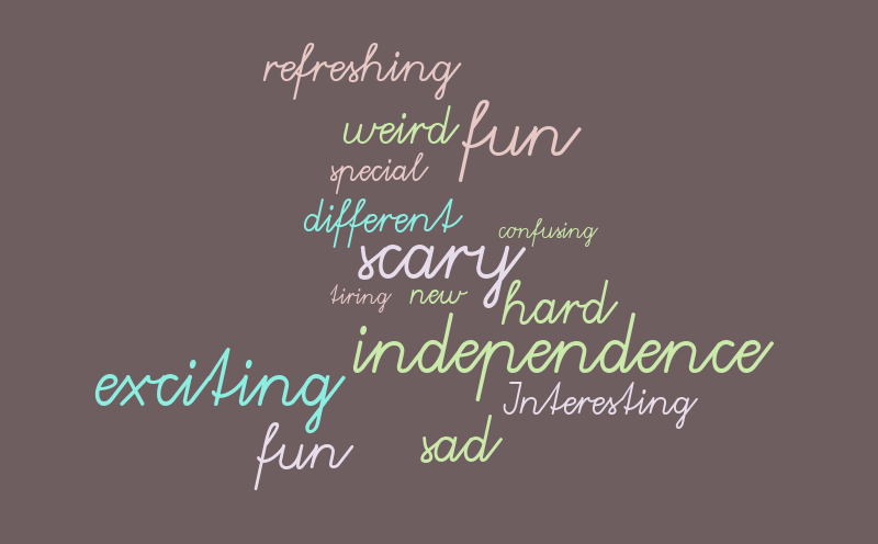 Word it out – Word cloud – WordItOut