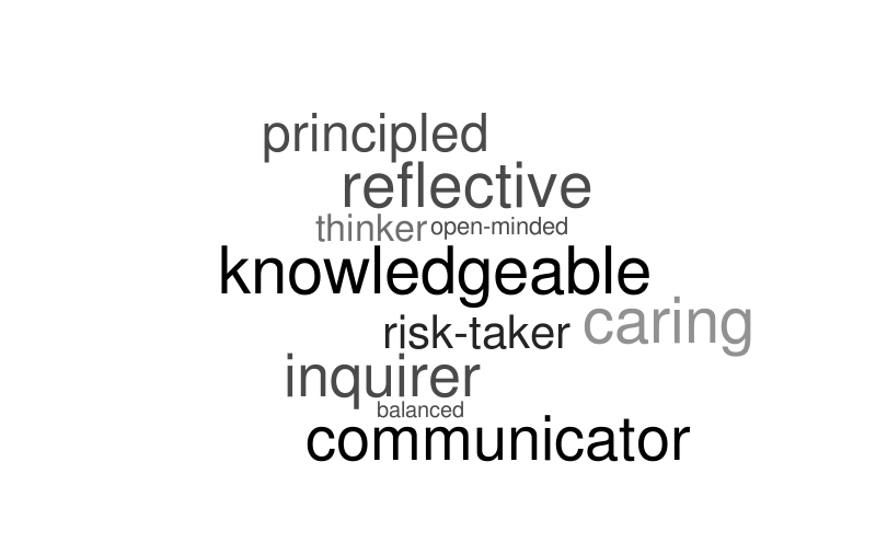 learner-profiles-word-cloud-worditout