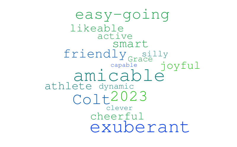 2 Colt – Word cloud – WordItOut
