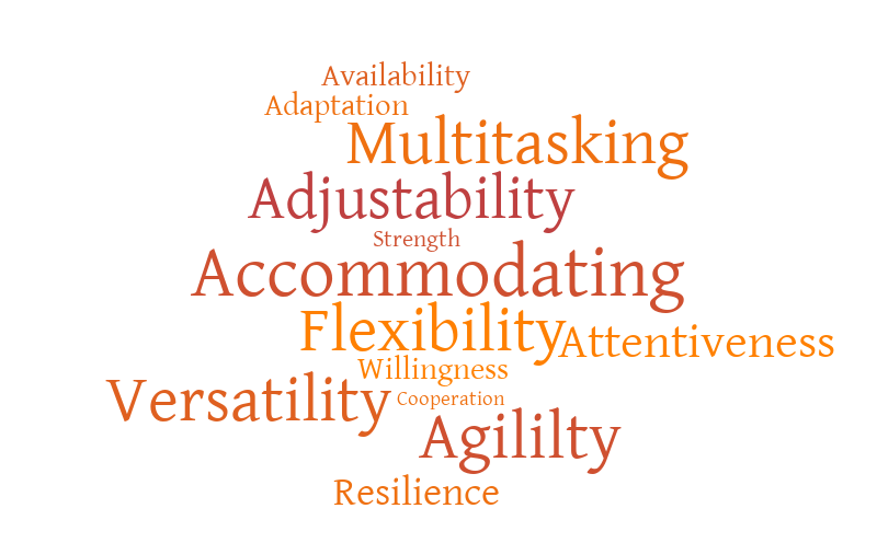 Flexibility – Word cloud – WordItOut