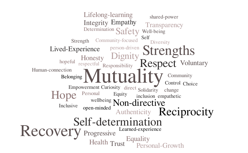 Peer support values – Word cloud – WordItOut