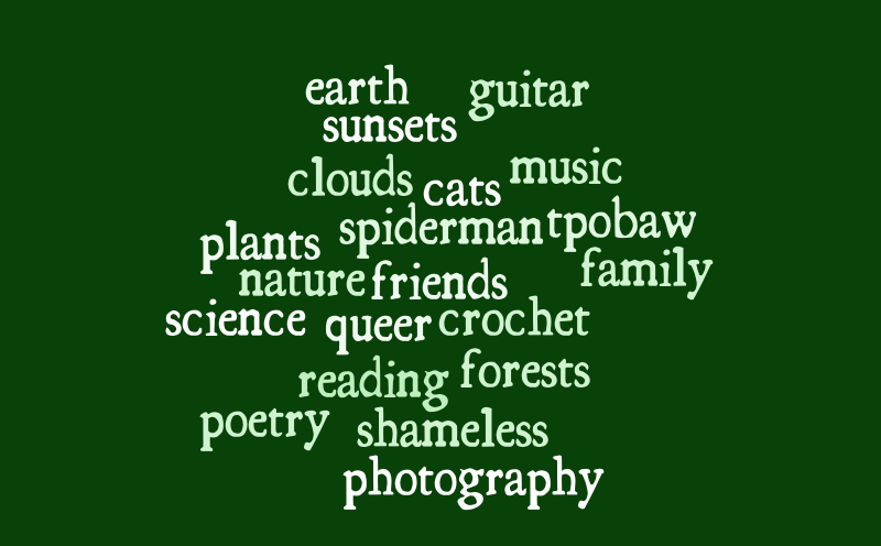 wordcloud - PPZ – Word cloud – WordItOut