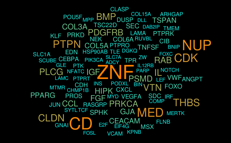 s – Word cloud – WordItOut